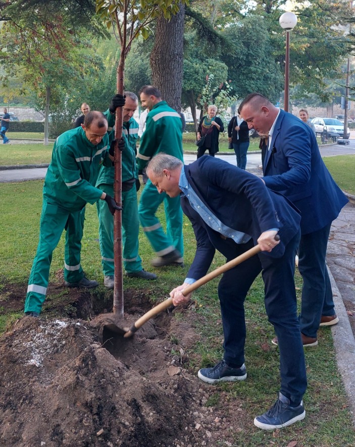 Zadar domaćin skupa o urbanom šumarstvu