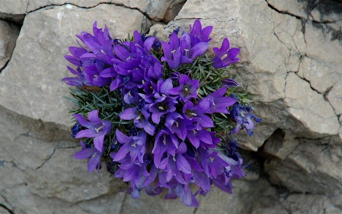 22. svibnja - Međunarodni dan bioraznolikosti i Dan zaštite prirode u Republici Hrvatskoj