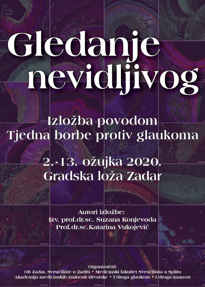 Izložba „Gledanje nevidljivog“