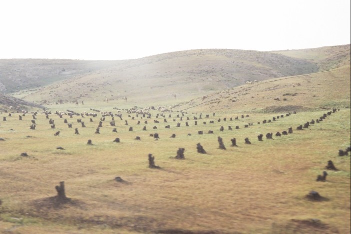 Izložba fotografija autora Branka Antunovića